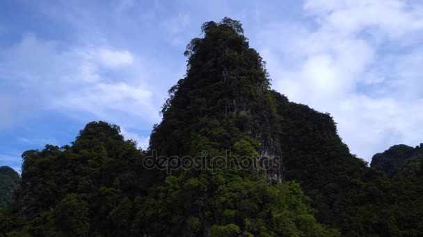 Beautiful big cliff and mountains with many trees on Cheow Lan lake. — Stock Video
