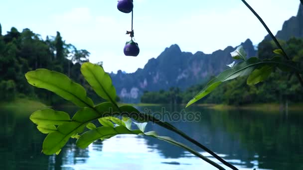 Hermoso paisaje en el lago. Montañas en el fondo . — Vídeo de stock