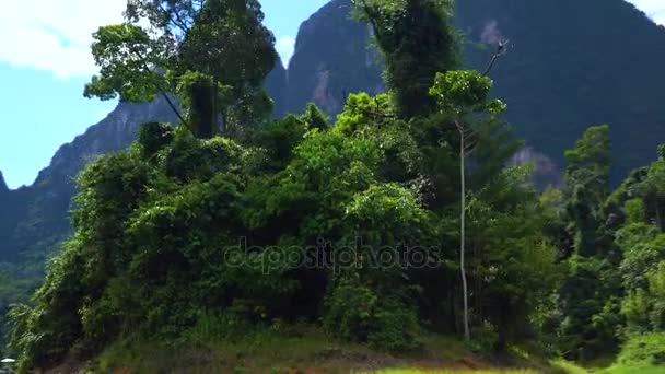 Un piccolo isolotto verde in mezzo al lago con una fitta foresta tropicale . — Video Stock