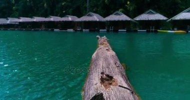 Hava: Bir büyük ağaç gövdesi göl sürükleniyor.