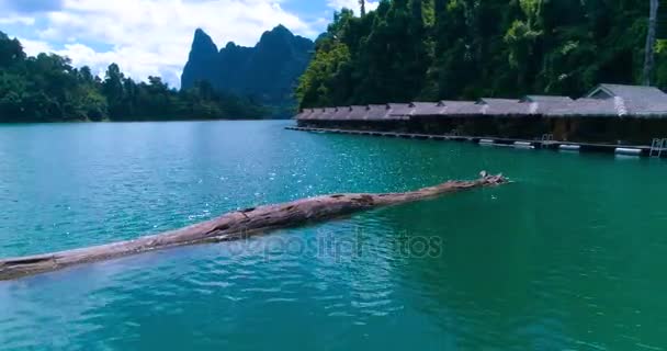 Aérea: Casas con techo de paja en el lago y un gran tronco de árbol en el agua . — Vídeos de Stock