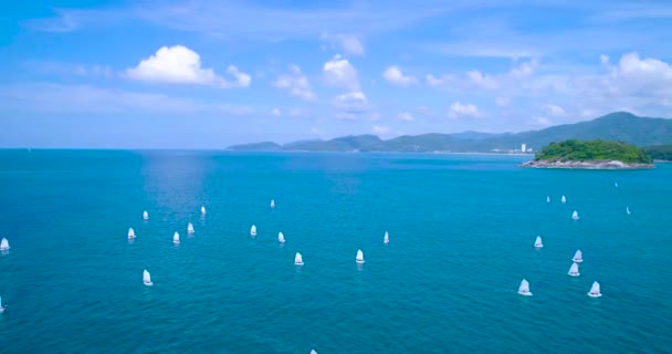 Antenn: Många små segelbåt flyta i havet. Regatta. — Stockvideo