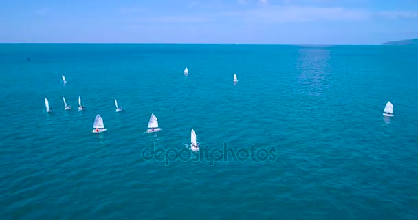 Antenna: Sok kis vitorlás hajó úszó a tengerben. Regatta. — Stock videók