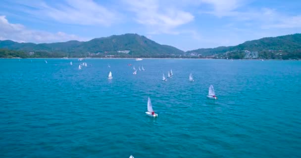 Aérea: Muchos veleros pequeños flotan en el mar. Regata . — Vídeo de stock