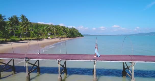 Hava: Palmiye ağaçları ile plaj doğru bir iskele bir Asyalı kız yürür. — Stok video