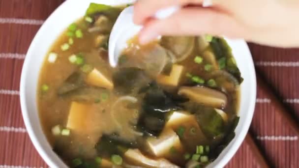 Agitar los ingredientes en la sopa de miso — Vídeo de stock