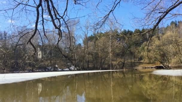 L'eau reflète le ciel et les arbres au printemps 
