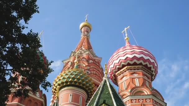 Catedral de San Basilio en Moscú — Vídeo de stock