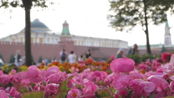 Kremlin detrás de coloridas flores de verano — Vídeos de Stock