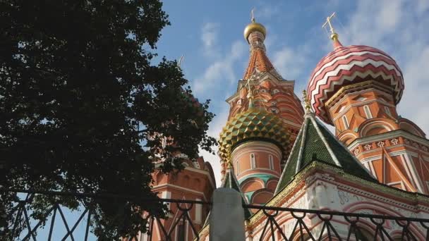 St Basil's Cathedral in Moscow — Stock Video