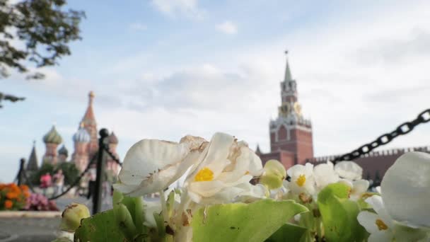 Torre Spasskaya e São Basílio por trás de flores brancas — Vídeo de Stock