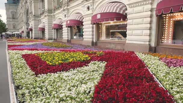 GUM dans les fleurs — Video