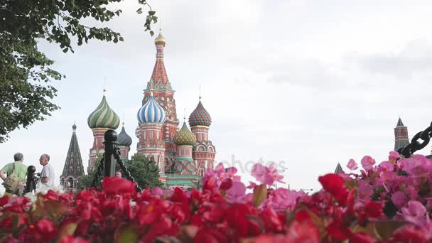 Szent Basil's Cathedral, virágok — Stock videók