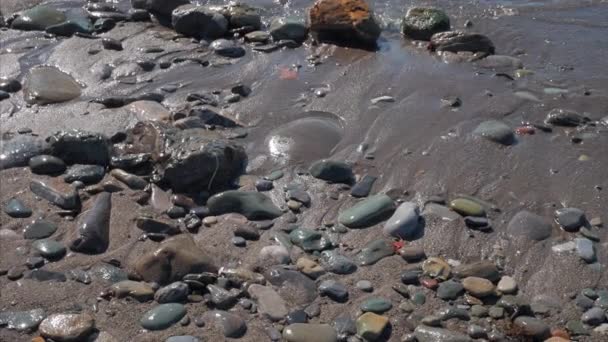 Πέτρες στο νερό στη θάλασσα — Αρχείο Βίντεο