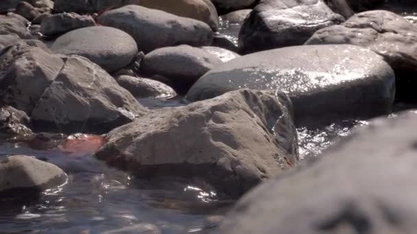 Kis és nagy kövek, a víz — Stock videók