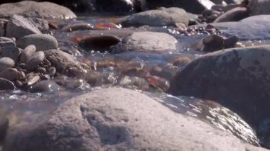 Su içinde irili ufaklı taşlar