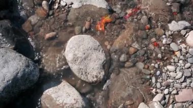 Taşlar ve kırmızı yaprakları büyük yuvarlak taş güneşli sonbahar gününde akan su akışı. Sakin atmosferi. Ağır çekim