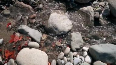 Güzel büyük taşlar ve kırmızı sonbahar dizisi hızlı akan suya bırakır. Ağır çekim