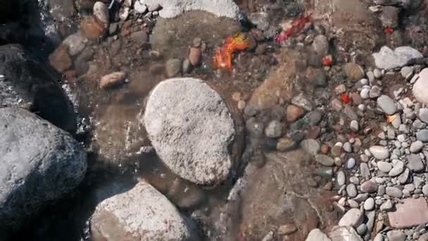 Stones Red Leaves Water Stream Flowing Big Rock Sunny Autumn — Stock Video