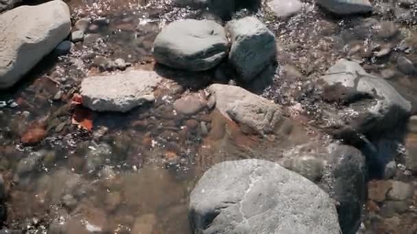 Primo Piano Pietre Grandi Piccole Foglie Autunnali Rosse Flusso Acqua — Video Stock