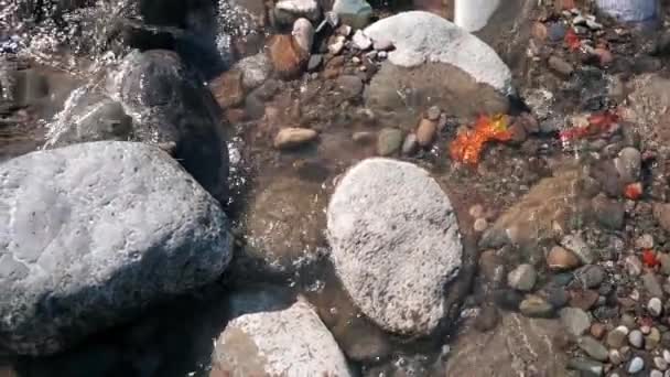 Schwenken Von Großen Und Kleinen Steinen Schnell Fließendem Wasser Sonnigen — Stockvideo