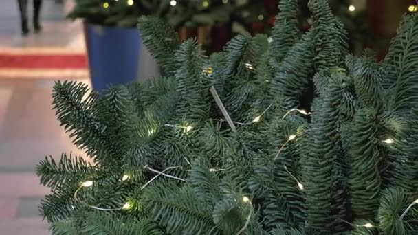 Tannenzweige Mit Lichtern Großen Vasen Die Als Weihnachtsdekoration Einkaufszentren Verwendet — Stockvideo