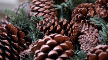 Büyük çam kozalakları ve köknar ağacı dalları Noel dekorasyon olarak. Kaydırma, yakın çekim