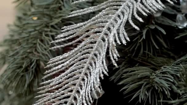 圣诞装饰的银色闪烁羽毛在绿色冷杉树枝上 平移和倾斜 — 图库视频影像