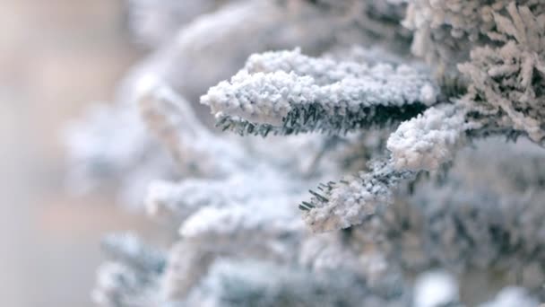 Takken Van Kerstboom Als Decoratie Winkelcentrum Met Sneeuw Bedekt Omhoog — Stockvideo