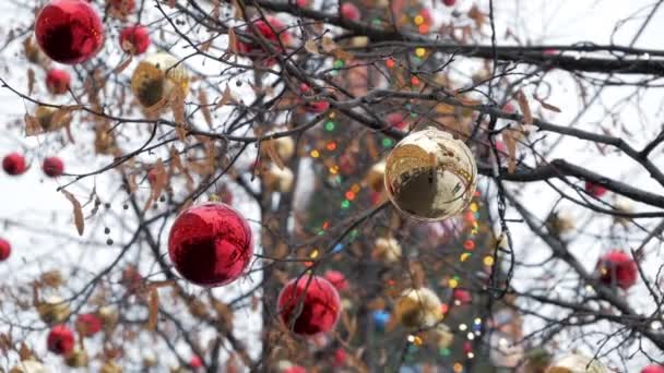 Glanzende Heldere Rode Gouden Kerstballen Bomen Buiten Voor Grote Kerstboom — Stockvideo