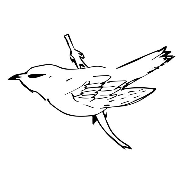 Un pájaro en una rama. Cuco de dibujos animados. Un pájaro en una rama. Cuco de dibujos animados. Icono Cuco. Arte de cuco. Lindo cuco. Diseño de cuco. Pájaro cuco. Fondo de cuco. Vector de cuco. Ilustración de cuco. Naturaleza de cuco. Cuco abstracto. Forma de cuco . — Archivo Imágenes Vectoriales