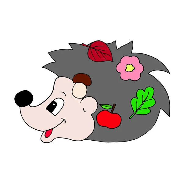 Desenhos animados do Hedgehog. Bonitinho de ouriço. Desenhos animados do Hedgehog. Bonitinho de ouriço. Design de ouriço. Hedgehog isolado. Desenho de ouriço. Que engraçadinha. Hedgehog feliz. Vetor de ouriço. Hedgehog animal. Quinta Hedgehog. Natureza de ouriço. Cartaz de ouriço — Vetor de Stock