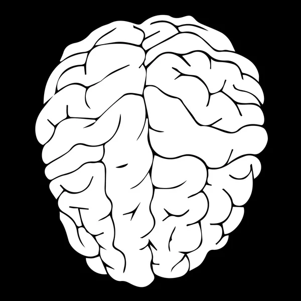 脑向量。大脑插图。脑医学大脑的想法。大脑创造性。大脑图标。大脑徽标。大脑解剖学脑象形图。脑器官脑卡通大脑可爱。大脑被隔离脑卡. — 图库矢量图片