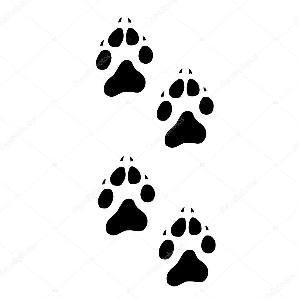 Trail dogs. Abstract animal footprint vector background. Footprints of dogs foot silhouette vector illustration. Dog foot silhouette and animal pet dog foot. Dog foot animal pet and print dog foot.Dog