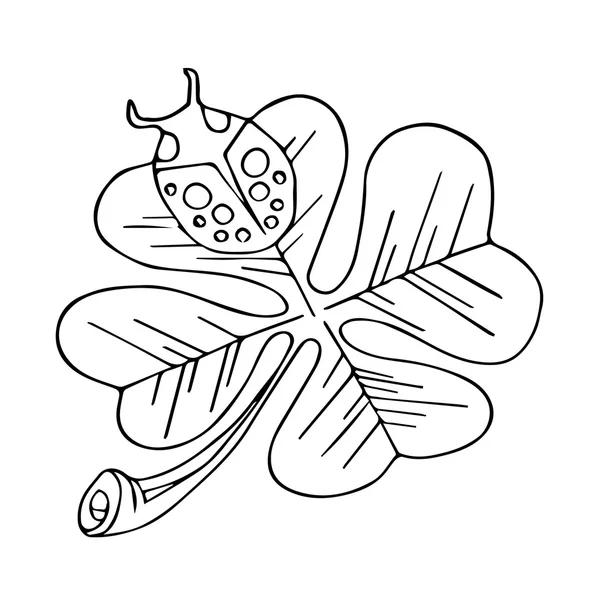 클로버 그리고 무당벌레입니다. 클로버 잎입니다. 클로버의 잎 클로버 격리입니다. 클로버 디자인입니다. 클로버 장식입니다. 클로버 텍스처입니다. 클로버 벡터 일러스트입니다. 클로버의 무당벌레 클로버 개요입니다. 무당벌레의 잎 클로버 아트 — 스톡 벡터