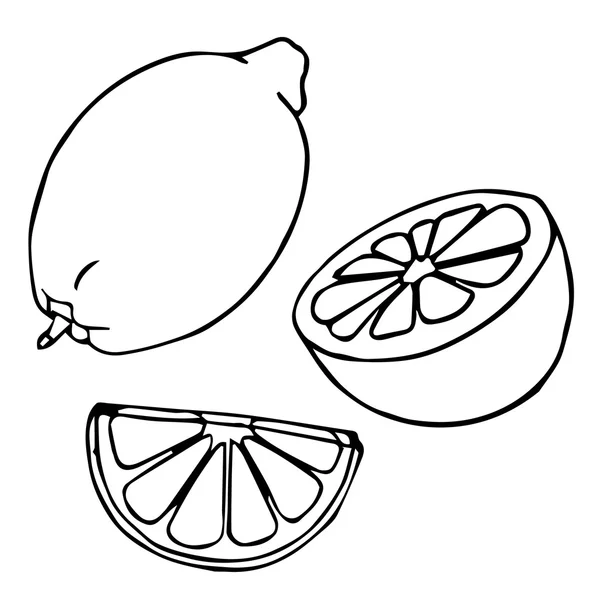 Prêt pour le citron. Citrons, quatre vues. Citrons frais et naturels : entiers, moitiés, tranches, quartiers. Tranche de citron et citron frais. Illustration vectorielle citron. Décoration ornementale citron. Illustration vectorielle abstraite au citron. Décoration citron. Caricature au citron. Design citron . Graphismes Vectoriels