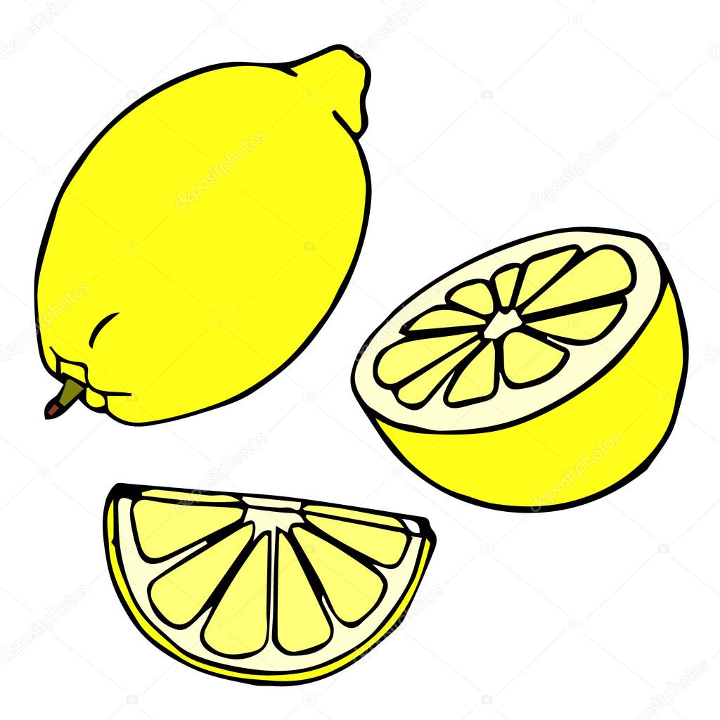 Lemon set. Lemons, four views. Fresh, natural lemons: whole, half, slice, wedge. Fresh lemon and lemon slice. Vector illustration lemon. Decorative ornamental lemon. Vector abstract lemon illustration. Lemon decoration. Lemon cartoon. Lemon design.