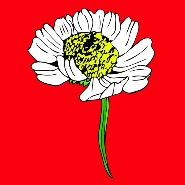 Icono de flor de manzanilla. Antecedentes de arte margarita. Daisy objetos de la naturaleza. Daisy objeta. Icono del cartel de Daisy. Tarjeta de margarita aislada. Daisy color de arte. Ramo de margaritas. Caricatura de Margarita. Daisy linda. Logo de flores de margarita. Decoración de margarita. Diseño de margaritas. Textura de margarita . — Archivo Imágenes Vectoriales