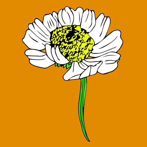 Het pictogram van de bloem van kamille. Daisy kunst achtergrond. Daisy natuur objecten. Daisy objecten. Daisy poster pictogram. Daisy-kaart geïsoleerd. De kleur van de kunst van Daisy. Daisy boeket. Daisy cartoon. Daisy schattig. Daisy flowers logo. Daisy decoratie. Daisy ontwerp. Daisy textuur. — Stockvector