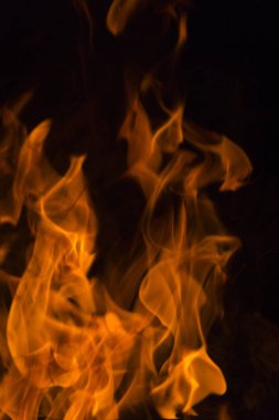 alevler siyah arkaplanda. 