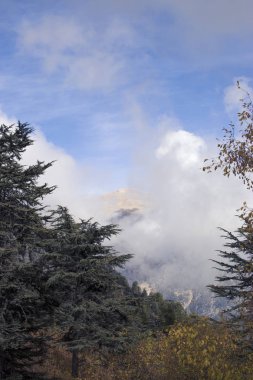 Güzel panoramik dağ manzarası.