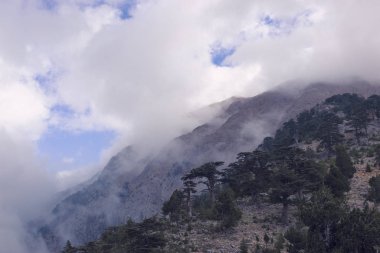 Güzel panoramik dağ manzarası.