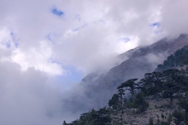 Güzel panoramik dağ manzarası.