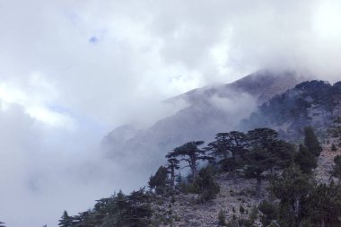 Güzel panoramik dağ manzarası.