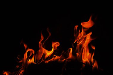 alevler siyah arkaplanda. 