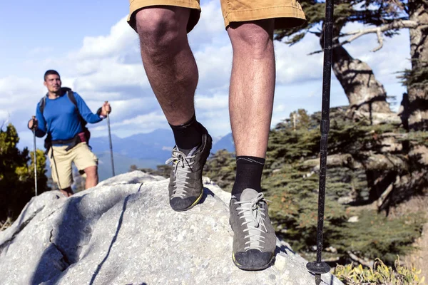 Randonnée dans les montagnes en été par une journée ensoleillée . — Photo