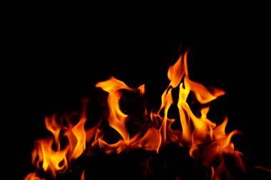 alevler siyah arkaplanda. 