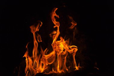 alevler siyah arkaplanda. 