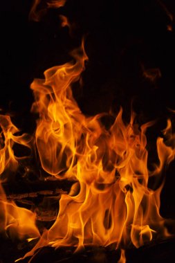 alevler siyah arkaplanda. 