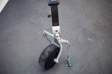 Bir hangarda bir spor uçak kuyruk hizmet.